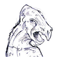 200x200 Amaravisions