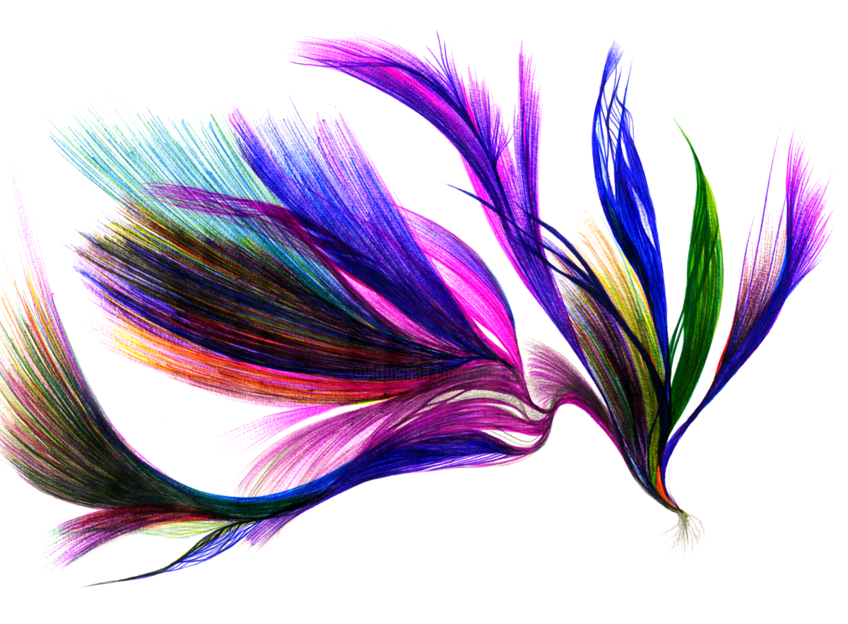 1200x883 Feu Follet Multicolore Drawing