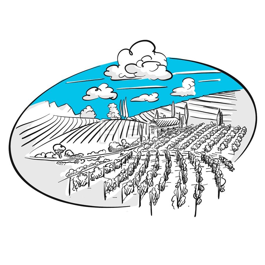 900x900 vineyard in circle animation architecture sketches how to draw