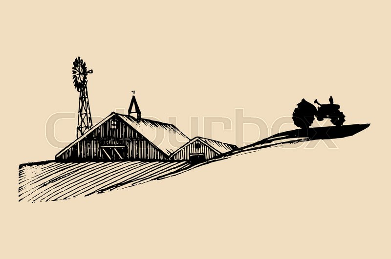 800x531 Sketch Of Village Barn, Tractor And Stock Vector Colourbox