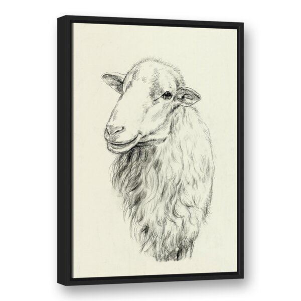 600x600 farmhouse sheep sketch' drawing print on canvas joss main
