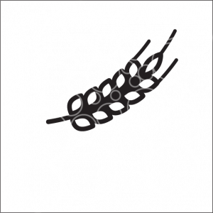 300x300 farmland archives