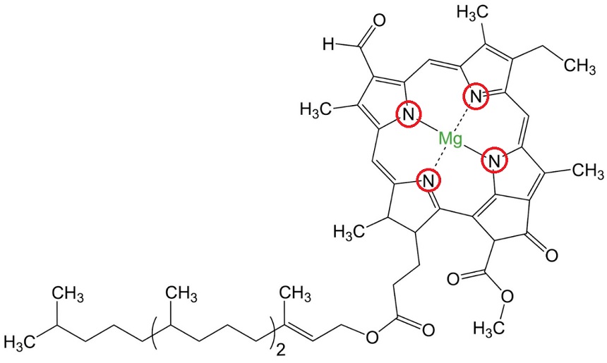 860x515 how to enrich the soil in your farmland or garden without