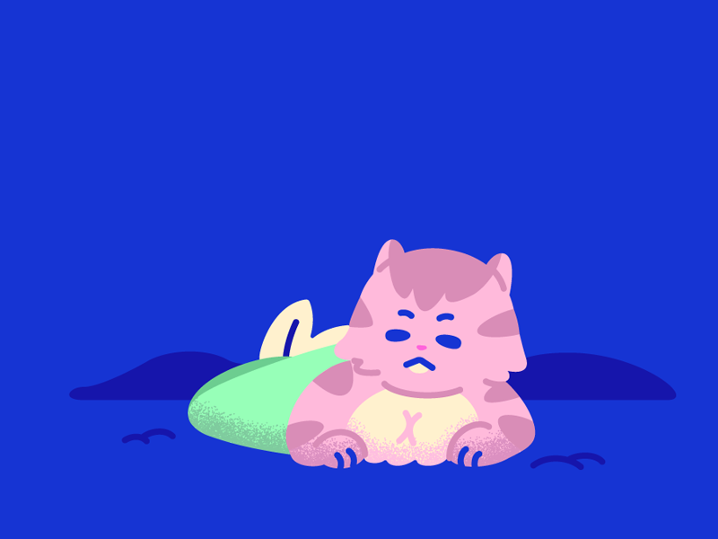 800x600 Mer May Fat Cat