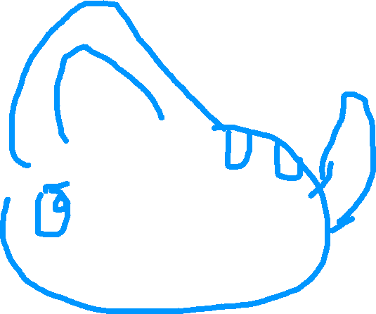 535x446 Patrick The Cat Tynker