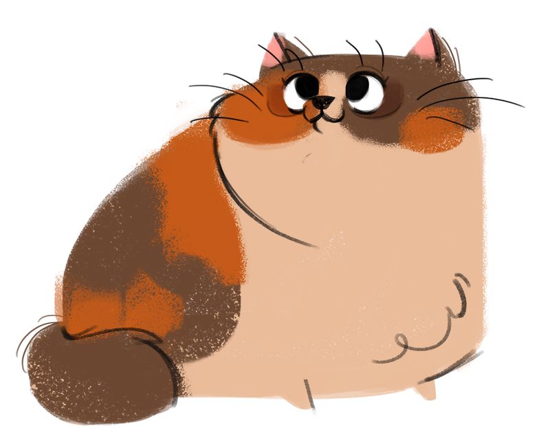 Fat Cat Drawing | Free download on ClipArtMag