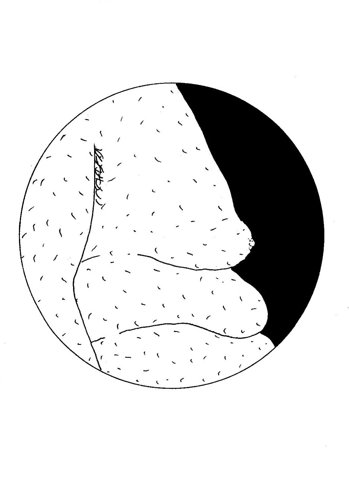 1160x1600 People Against Goodness And Normalcy The Trifecta