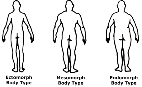 456x280 Obese Drawing Figure Frames Illustrations Hd Images Photo