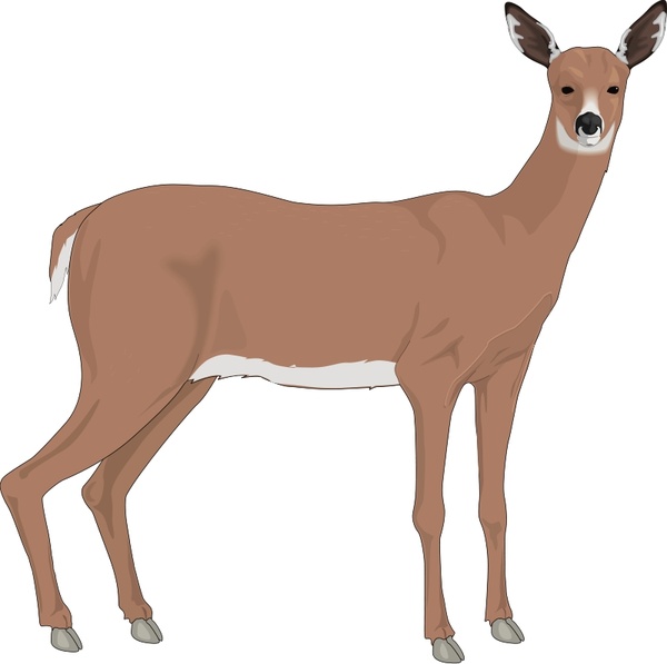 600x597 Deer Free Vector In Open Office Drawing