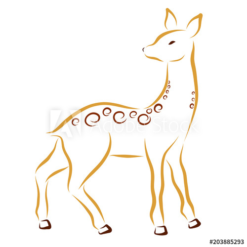 500x500 deer or doe, drawing in smooth lines