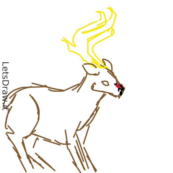 600x600 How To Draw Deer
