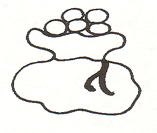 324x274 St Nicholas Center Draw And Tell