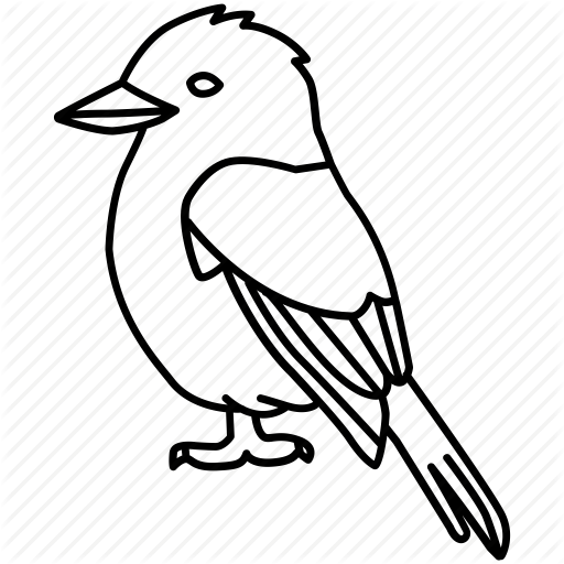 512x512 Drawing Feather Kingfisher Transparent Png Clipart Free Download