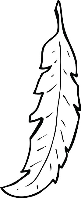 266x652 Line Drawing Cartoon Feather Premium Clipart