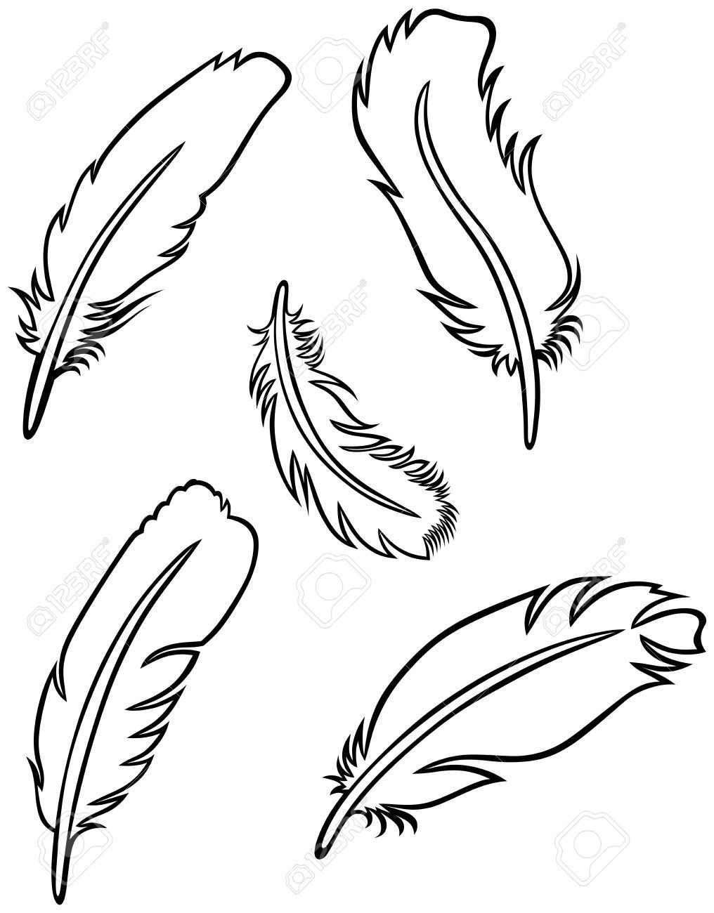 1016x1300 Simple Drawing Of A Feather Peacock Outline Google Search Best