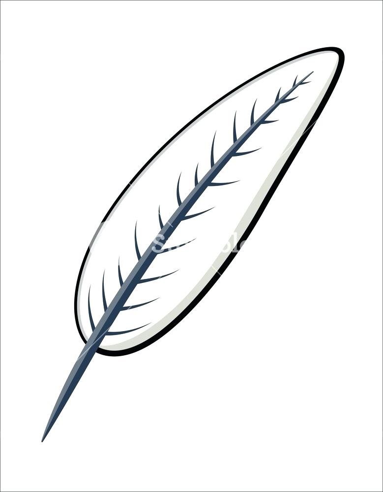 779x1000 Cartoon Feather