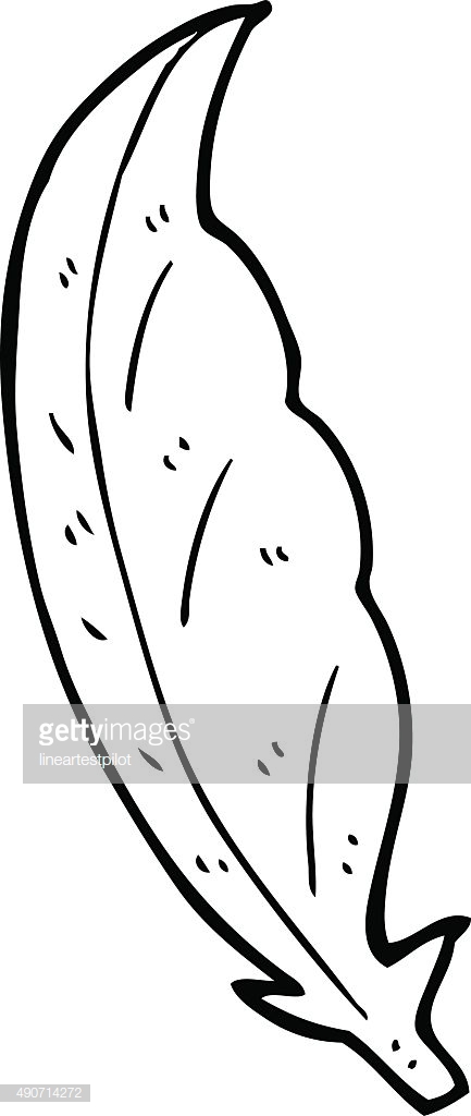 433x1024 Collection Of 'feather Line Drawing' Download More Than Images