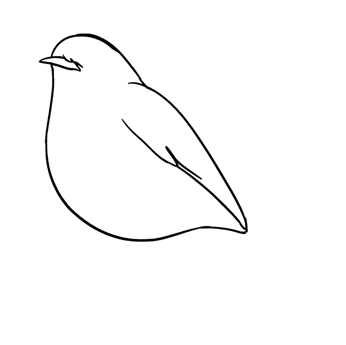 680x678 How To Draw A Robin