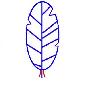 302x302 How To Draw Feather