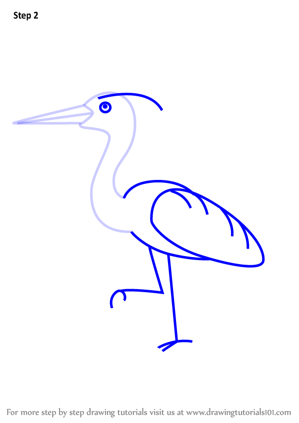 598x844 Learn How To Draw A Heron For Kids