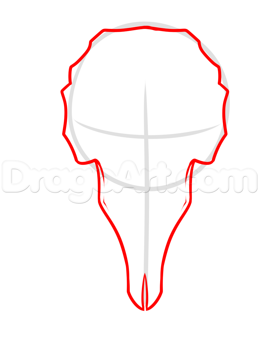 862x1205 Crow Skull And Feathers Tattoo Drawing, Step