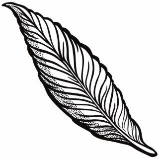 320x320 Hd Feather