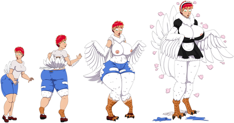 475x250 Cmsn Built In Feather Duster