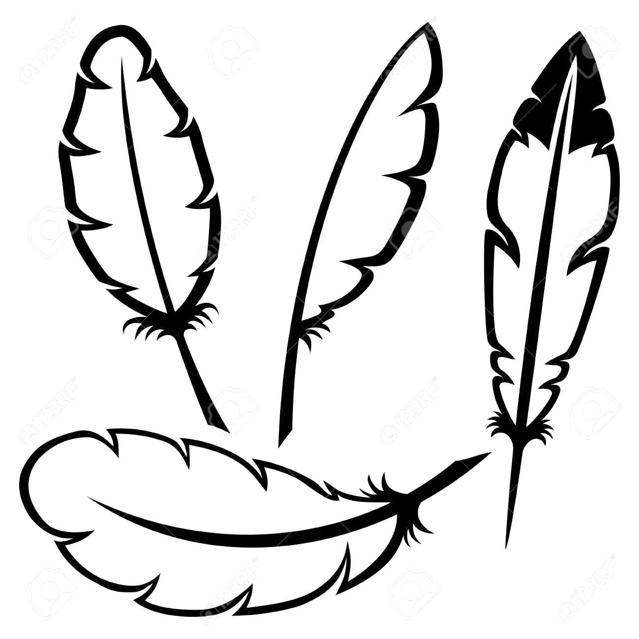1300x1300 Feather Outline Drawing