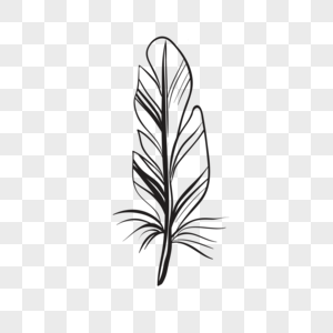 300x300 Feather Drawing Graphics Images Free Download