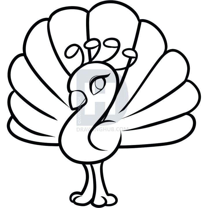 720x720 draw peacock how to draw peacock for kids line drawing peacock