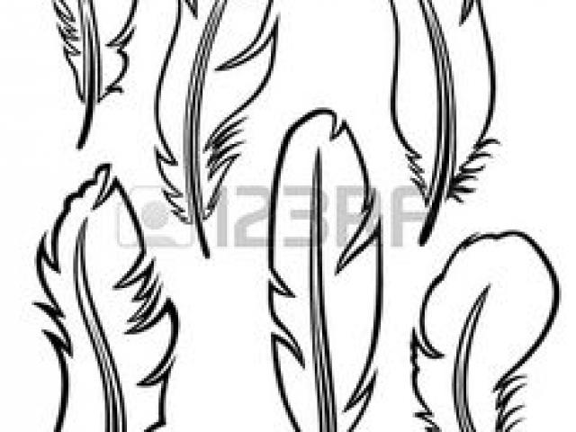 640x480 Feather Outline Ladies Home Crafting