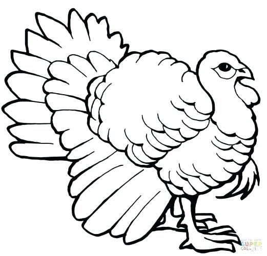 521x500 Turkey Drawing Outline Turkey Travel Symbols Icons Set Outline