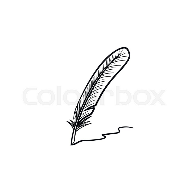 800x800 Writing Feather Hand Drawn Outline Stock Vector Colourbox