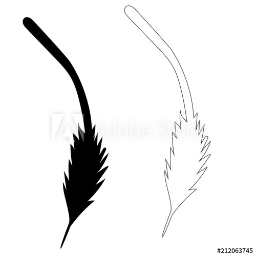 500x500 Vector Isolated Silhouette Of Bird Feather, Outline
