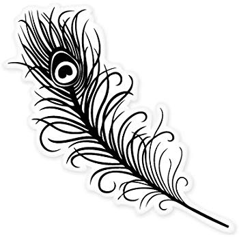 350x350 Peacock Feather Outline Silhouette Vinyl Sticker Car