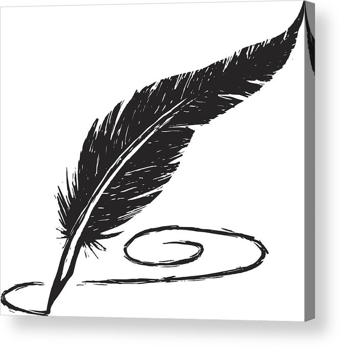 665x677 Sketchy Feather Pen Acrylic Print