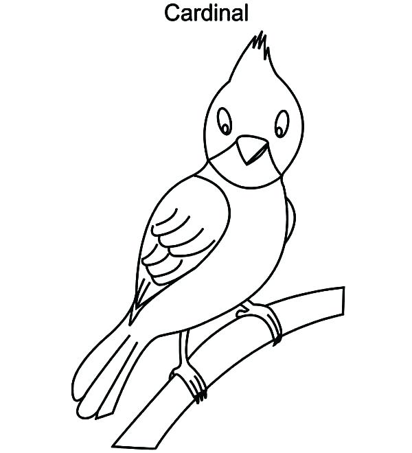 600x660 Cardinal Coloring