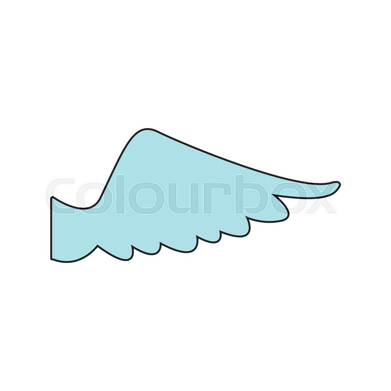 800x800 Drawing Wing Feather Bird Angel Icon Stock Vector Colourbox