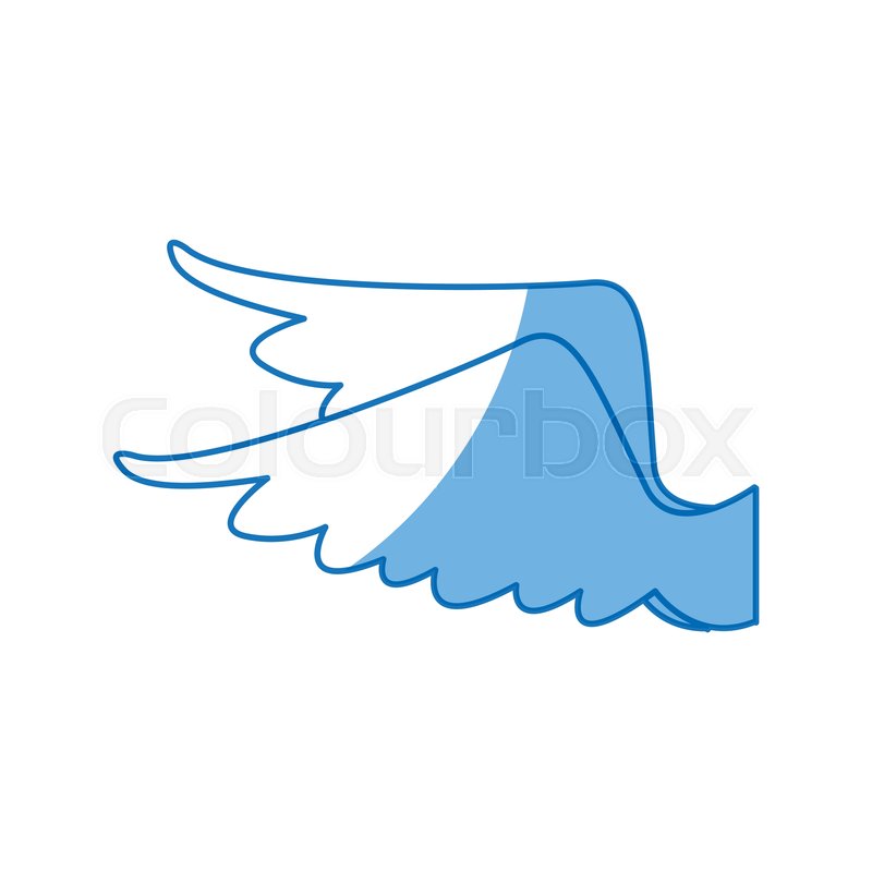 800x800 Drawing Wings Feather Bird Angel Icon Stock Vector Colourbox