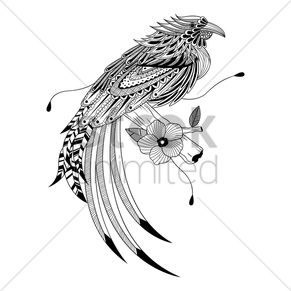 600x600 Bird, Feather, Drawing, Transparent Png Image Clipart Free Download