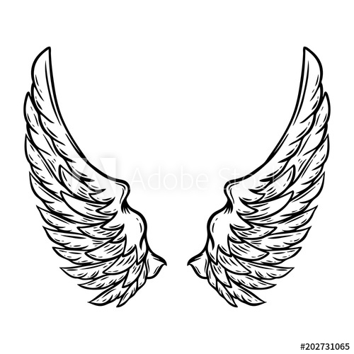 500x500 Hand Drawn Wings Isolated On White Background Design Element