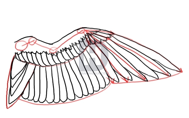 Крыло птицы нарисовать