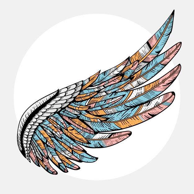 626x626 Wings Vectors, Photos And Free Download