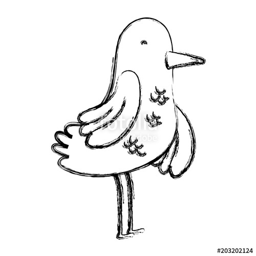 500x500 Grunge Beauty Bird Animal With Wings And Feather Stock Image