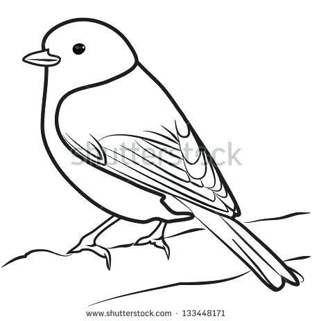 450x464 Huge Collection Of 'line Drawing Of A Bird' Download More Than