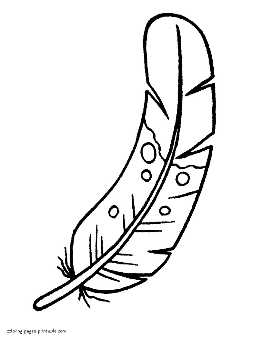 869x1121 Indian Feathers Coloring