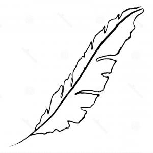 300x300 Photostock Vector Peacock Feather Vector Seamless Monochrome Black
