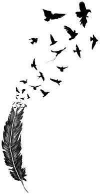 200x385 Feather Bird Drawing