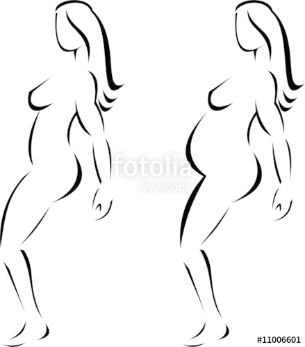 439x500 Female Anatomy Stock Image And Royalty Free Vector