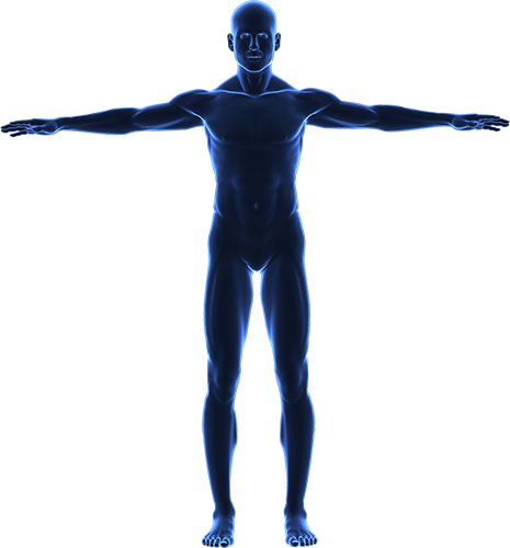 465x500 Draw Length Calculator